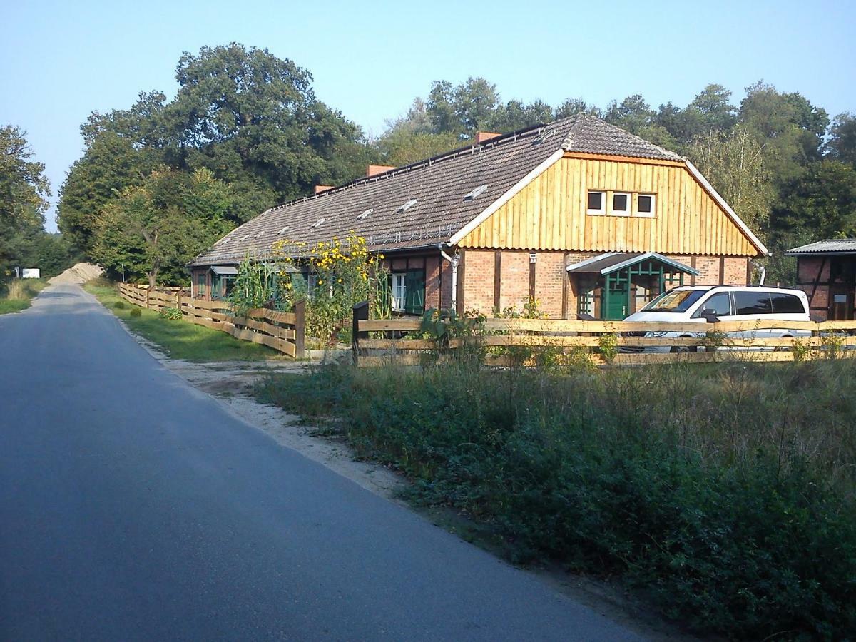 Ferienwohnungen 3 Birken Briesen  Exteriér fotografie