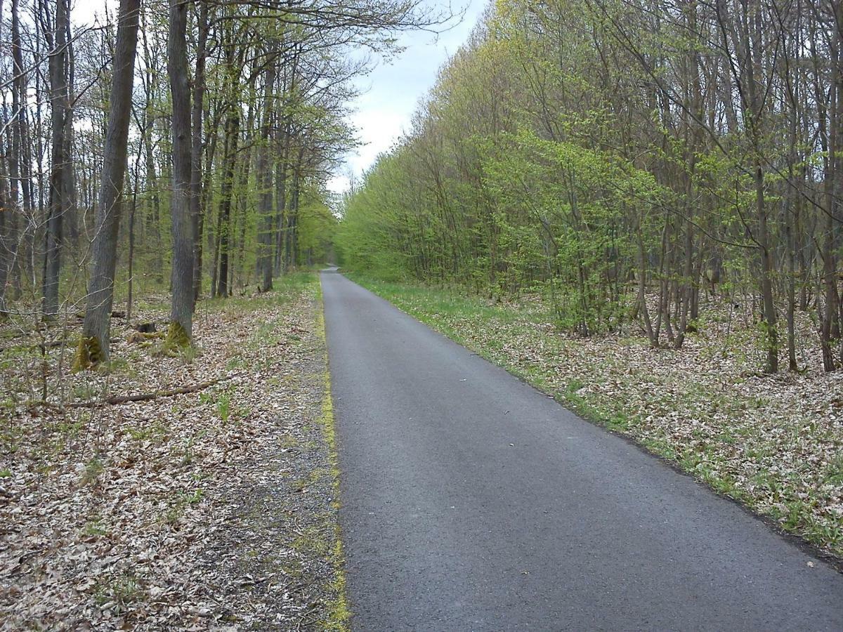 Ferienwohnungen 3 Birken Briesen  Exteriér fotografie